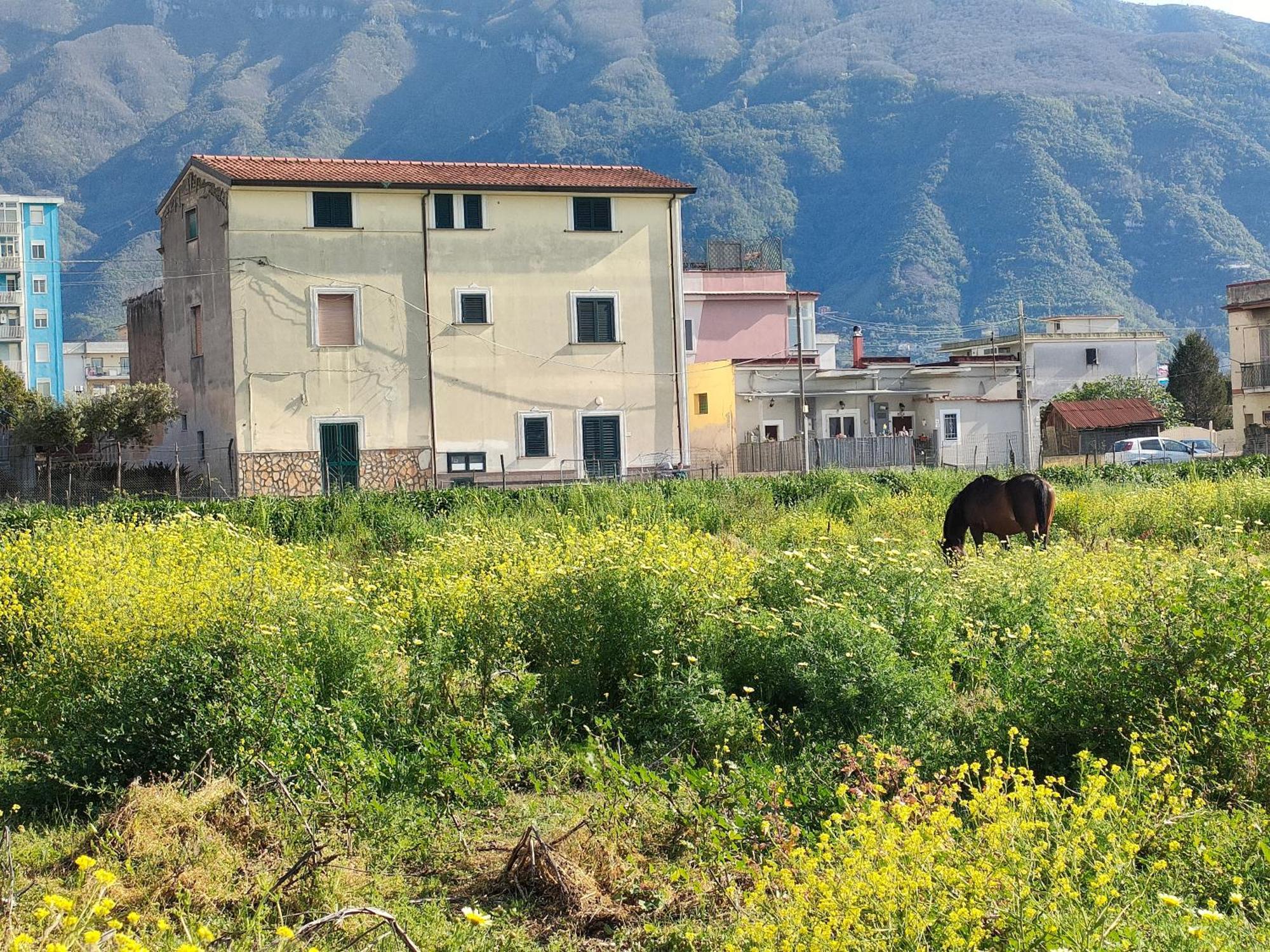 Ferienwohnung Lilla Housing Castellammare di Stabia Exterior foto