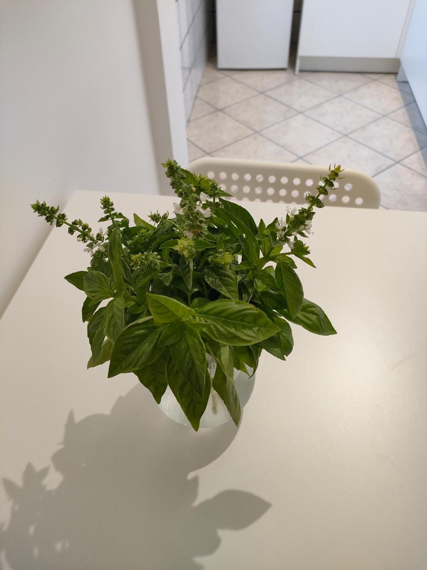 Ferienwohnung Lilla Housing Castellammare di Stabia Exterior foto